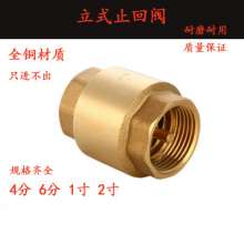 Full copper vertical check valve. Check valve. Water pipe check valve for water pump. Thickened check valve. 4 points, 6 points, 1 inch valve