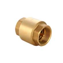 Full copper vertical check valve. Check valve. Water pipe check valve for water pump. Thickened check valve. 4 points, 6 points, 1 inch valve