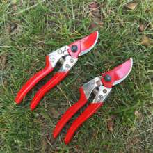 Sales of Jiuyilang S601AT scissors. Pruning shears. Branches pruning scissors. Fruit branch shears. Fruit tree scissors. Thick cut