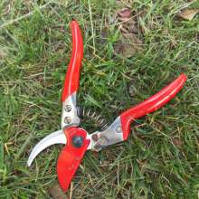 Sales of Jiuyilang S601AT scissors. Pruning shears. Branches pruning scissors. Fruit branch shears. Fruit tree scissors. Thick cut