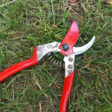 Sales of Jiuyilang S601AT scissors. Pruning shears. Branches pruning scissors. Fruit branch shears. Fruit tree scissors. Thick cut