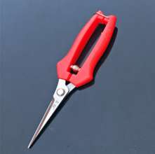 Famous diamond thin fruit scissors. knife. 1007 picking fruit shears. Grape cut. Tomato shears. Thin fruit scissors.  cut. Orange cut