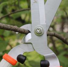 Factory Direct Hedge Shears Lawn Shears Landscaping Hedge Shears Pruning Shears Gardening Tools