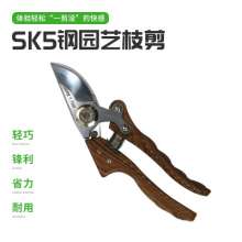 现货SK5花草盆栽修枝剪 药材剪切 果树修枝剪