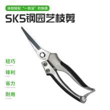 LY2105园林果剪 SK5工具钢园艺枝剪 水果园农户剪刀 锋利轻巧耐用