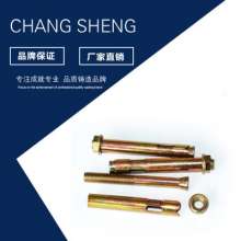 Factory direct sales of flange casing gecko anti-theft net special fastener expansion screw flange casing expansion screw. Screw