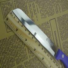 Select Master Fruit Knife with Color Handle, Cast Steel Travel Knife, Portable Household Fruit Knife