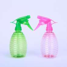 Grenade small watering can. Water spraying can. Hand pressure spray can. Spray bottle.