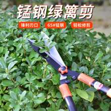 Lijin gardening large branch shears and hedge shears. Greening shears. Flower pruning shears Lawn shears Narrow blade large head shears Manganese steel shears