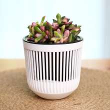 Meixuan hollow striped hydroponic flower pot. Self-absorbent plastic resin PP water storage flower pot green dill flower pot. Potted plant